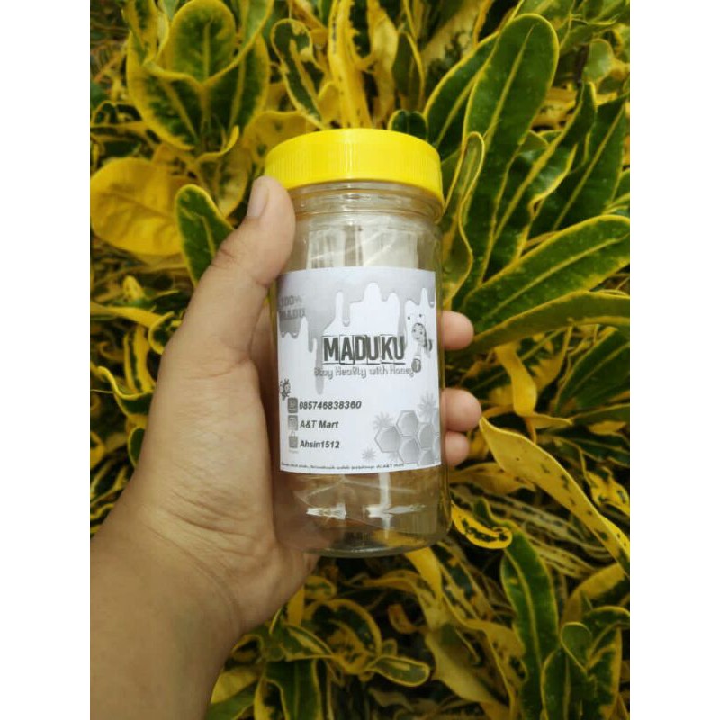 

MADU SARANG 100 ASLI 100%, MADU MELIFERA, SARANG MADU SEHAT HONEYCOMB KEKINIAN