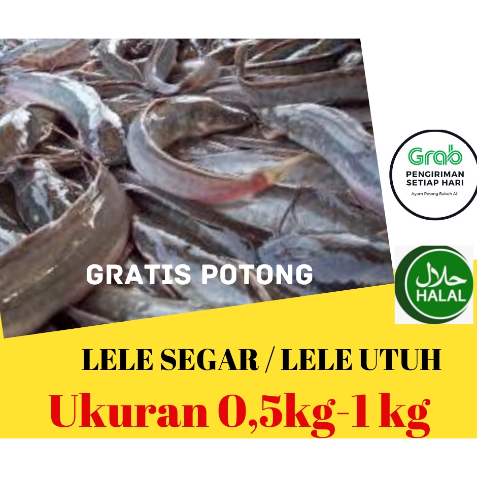 

LELE SEGAR / LELE UTUH 1KG