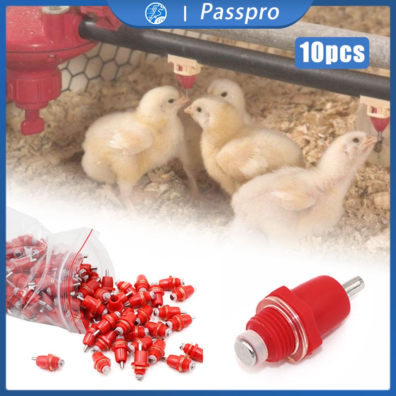 10pcs Nipple Minum Otomatis Ayam Puyuh Nipel Nepel Drinker Tempat Minum Broiler Puyuh