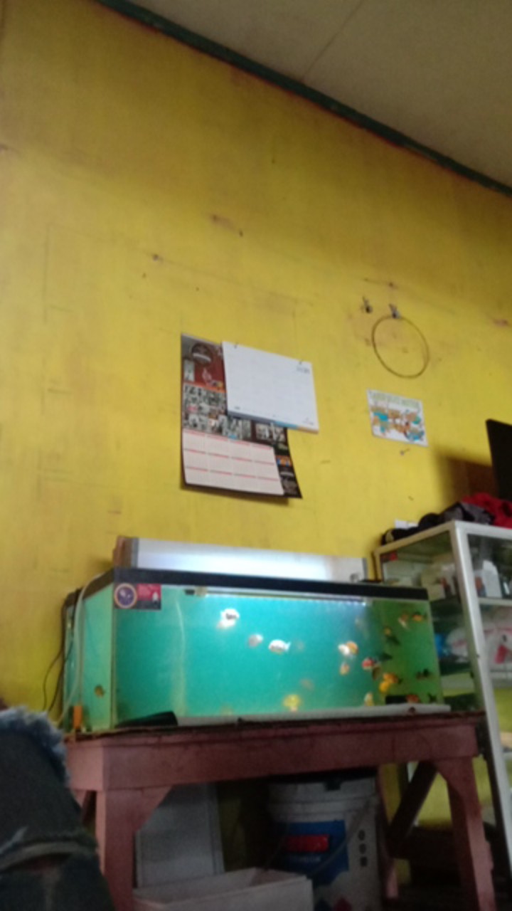 Ryu Mesin Bor Tangan 10mm Bor Besi Kayu 10 Mm Hand Drill 2 Arah Bolak Balik