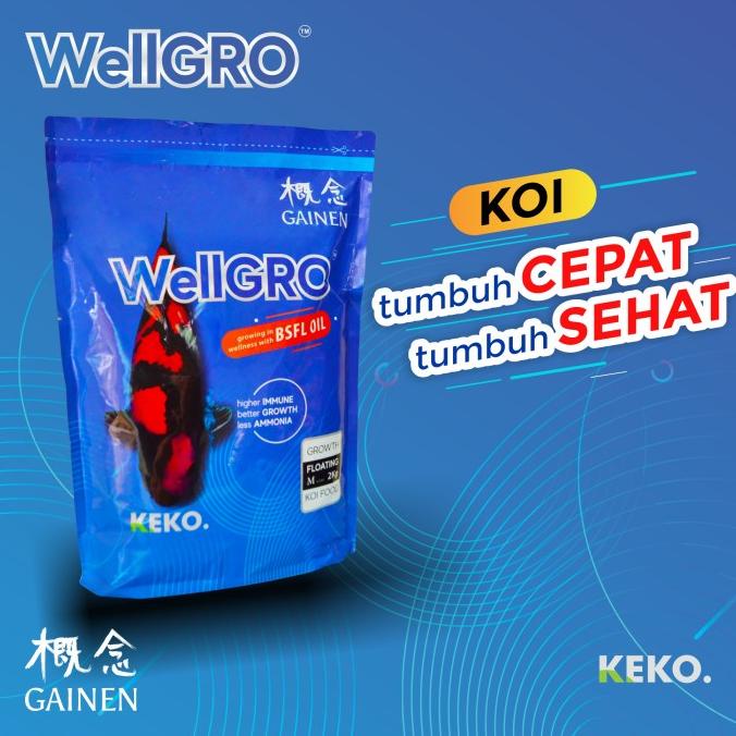Pakan Koi - WELLGRO Growth 2 Kg (M) - Floating