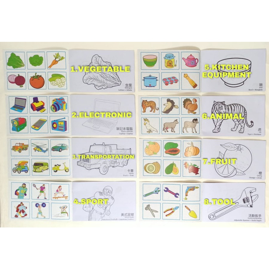 

SJS Buku Mewarnai-Coloring Book-Belajar Gambar-Warna-Anak Anak-Edukasi
