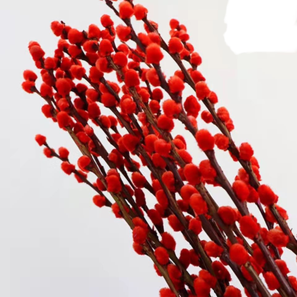 PUSSY WILLOW IMLEK 10pcs 80cm YINHUA DRIED FLOWER JAKARTA INSTAN BUNGA HIASAN BUNGA CNY DRIED FLOWER