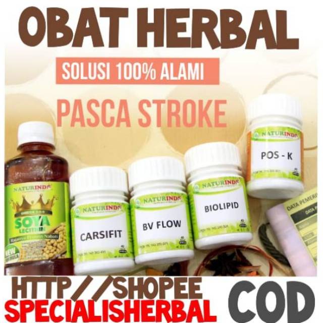 OBAT STROKE, STROK, STROKE RINGAN, PASKA STROKE, PENYUMBATAN OTAK,HERBAL NATURINDO
