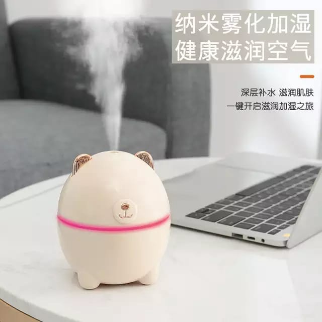 AIR HUMIDIFIER / AIR DIFFUSER / PELEMBAB UDARA / HUMIDITY PURFIFIER/ ASAP EMBUN