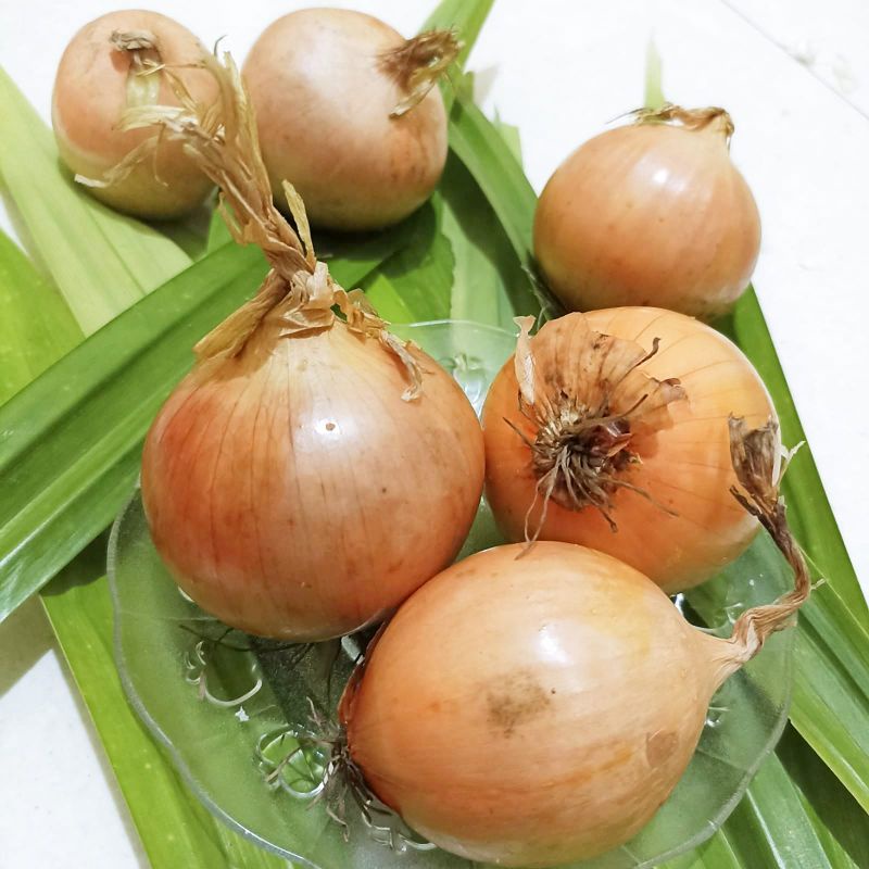 

bawang bombay by holland ukuran 50/60 500gr