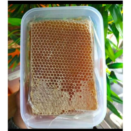 

MADU SARANG ( HONEYCOMB) Jenis lebih Apis Melifera / Mellyfera PREMIUMl