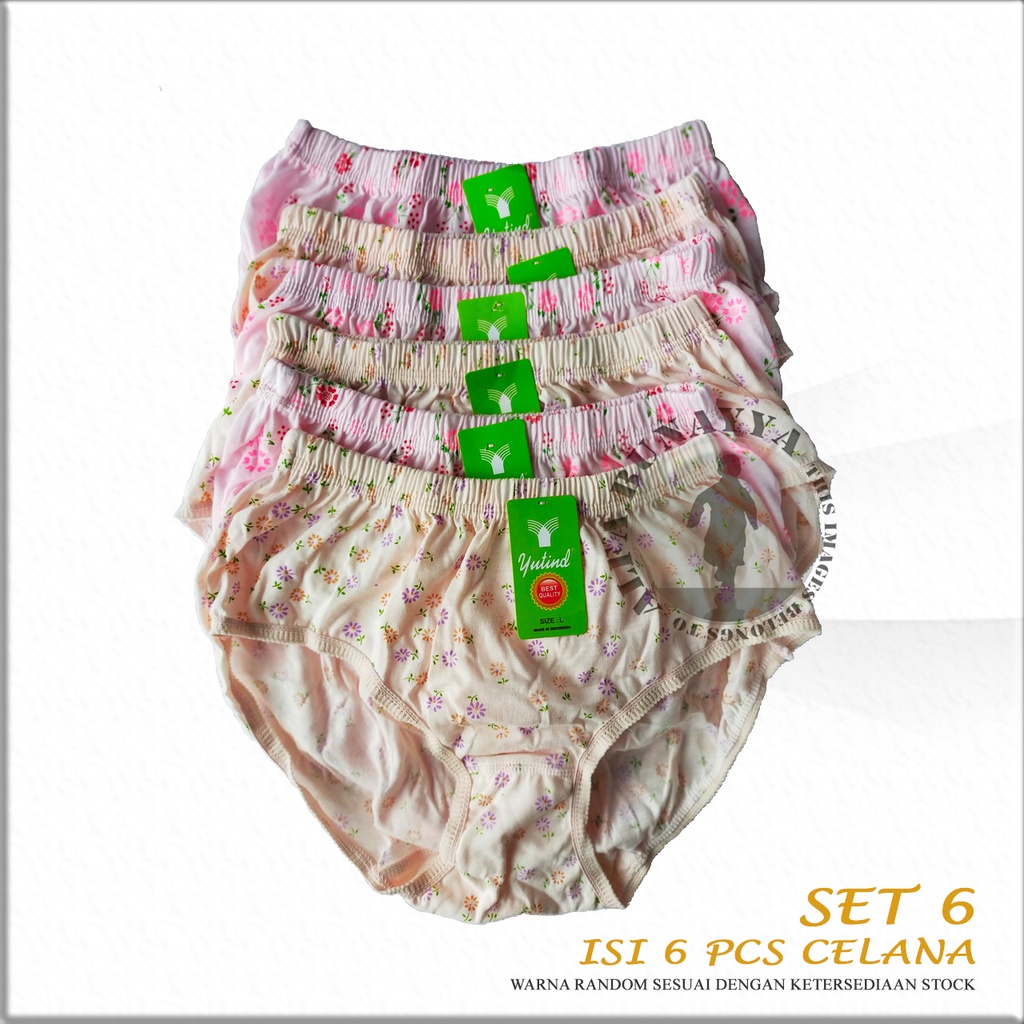 6 Pcs Celana Dalam Wanita Yutind Motif Floral Sablon CD Underwear