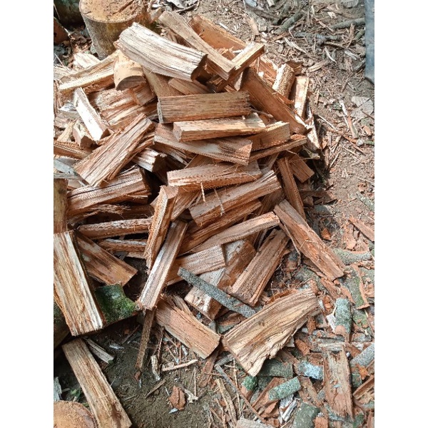 

Kayu Rambutan Kayu Bakar rambutan Panjang 30 cm sudah bersih dari kulit