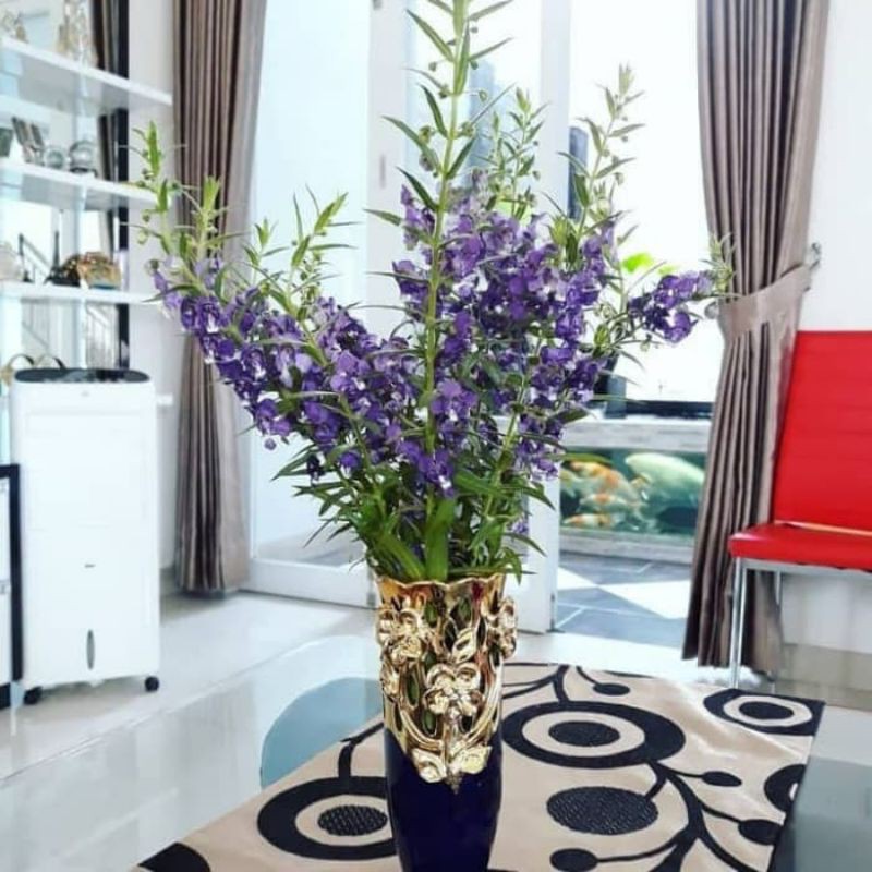 TANAMAN HIAS LAFENDER PENGUSIR NYAMUK