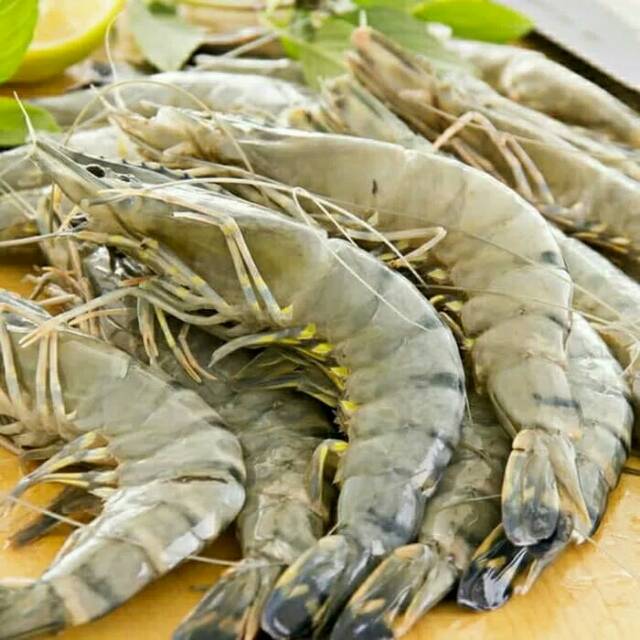

Essence - Flavour Udang Cair 50gr
