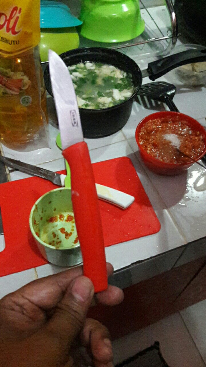 Wmo Ik8600 Skal Pisau Kupas Potong Buah Dan Sayuran Dengan Pelindung Praktis