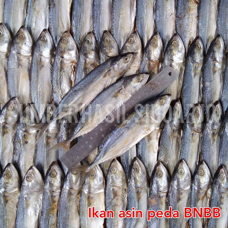 IKAN ASIN | PEDA SUPER | IKAN ASIN LAYANG | IKAN PEDA SUPER | IWAK ASIN PEDO