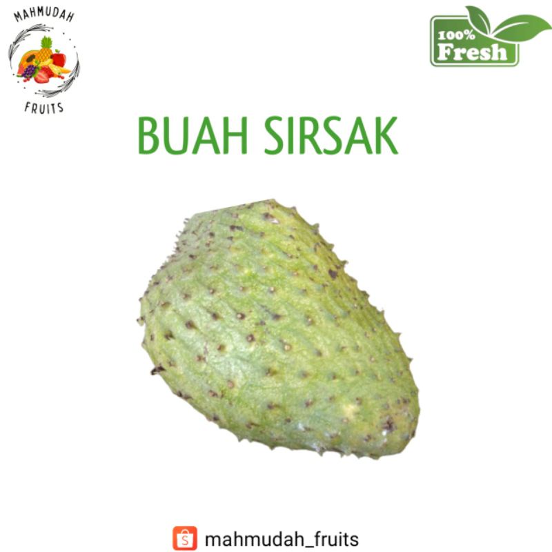 

Buah Sirsak 1pcs (1-2kg)