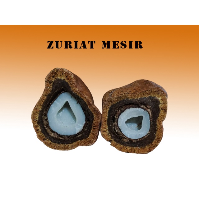 Buah Zurait Mesir  1kg | Zuriat Dom Program Hamil |Dom Mesir Promil.