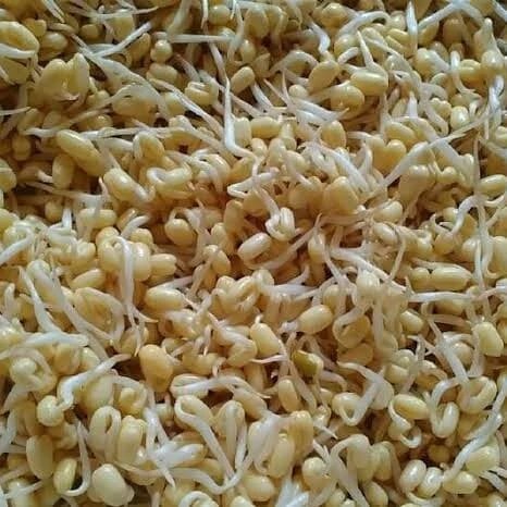

toge pendek 250gr