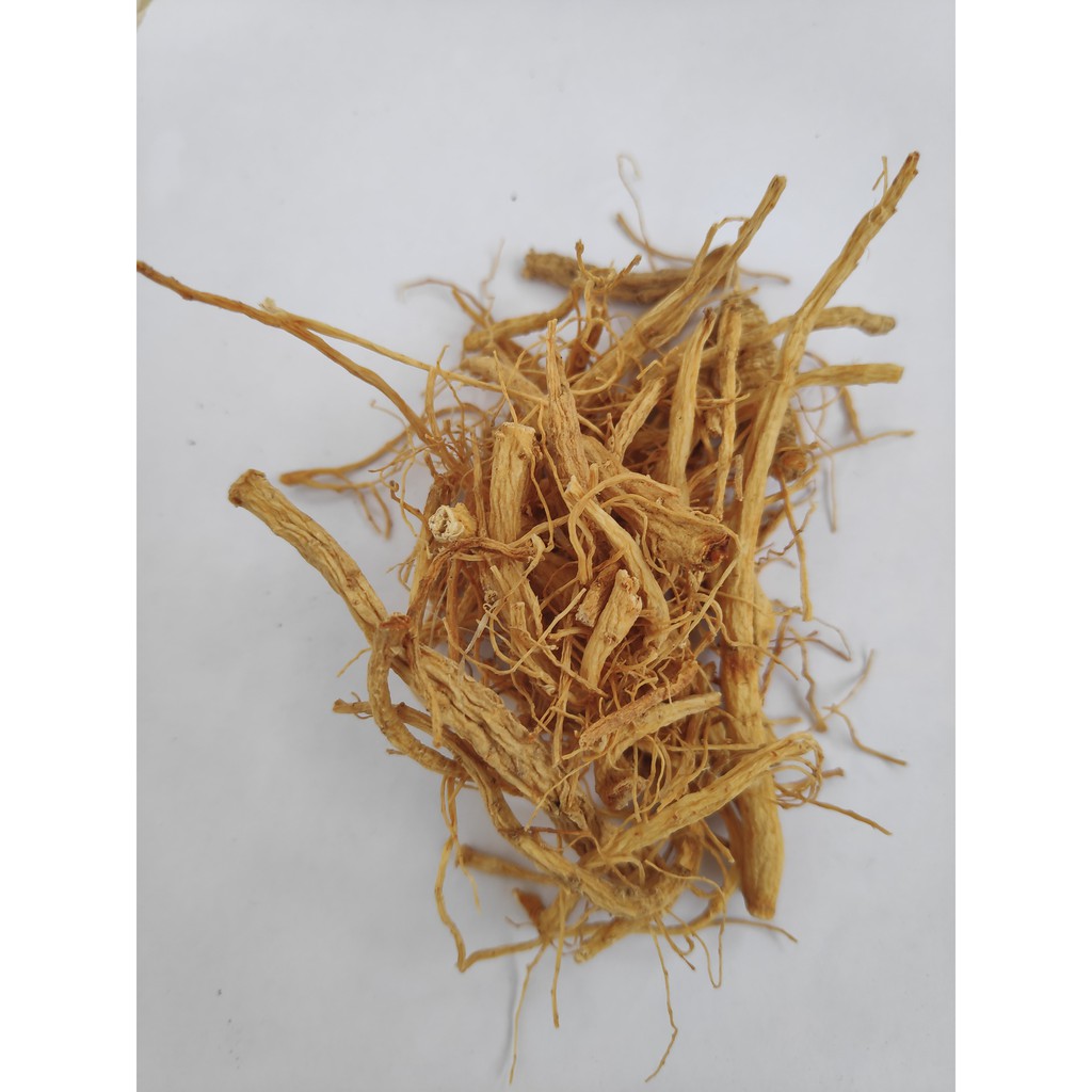 

Akar Ginseng