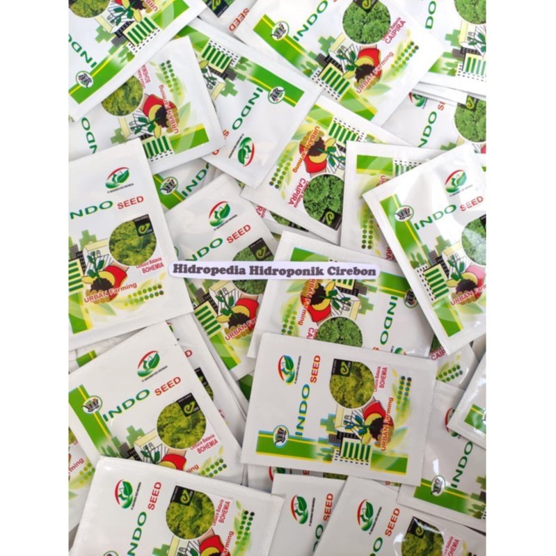 Benih Bibit Selada Batavia Lettuce Bohemia (Isi +- 900 biji) - Indo Seed Berkualitas Hidropedia