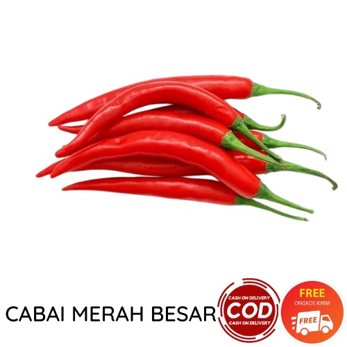 CABAI MERAH BESAR