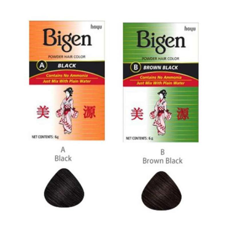 Bigen Powder Hair Color 6gr