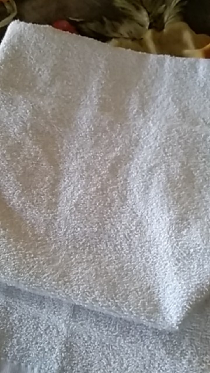 Raishacollection Handuk Mutia Tanggung Warna Putih Uk. 50x100 Cm