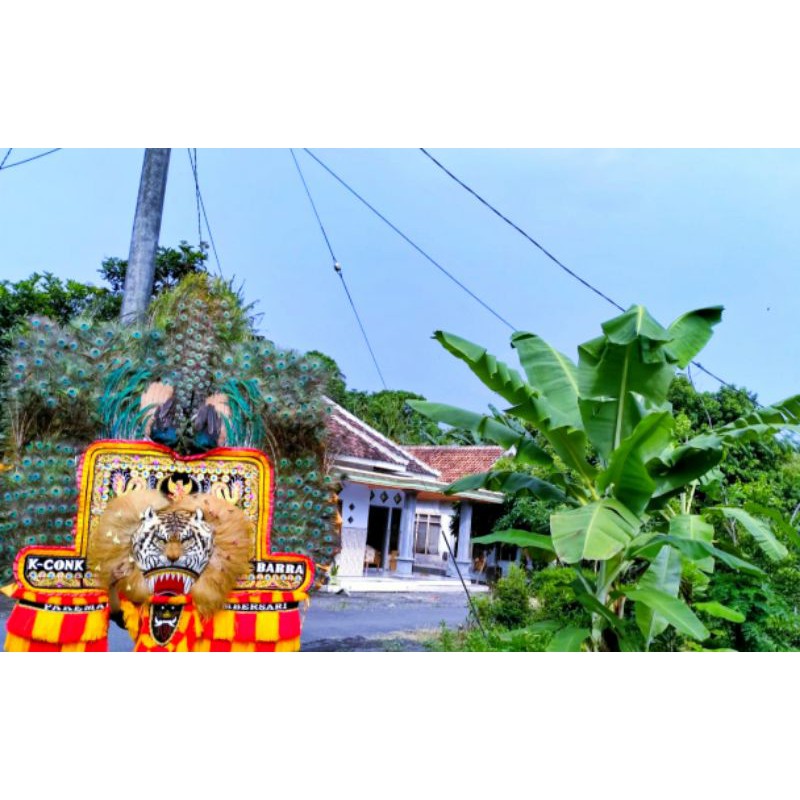 dadak merak kepala reog manuk asli + buntut