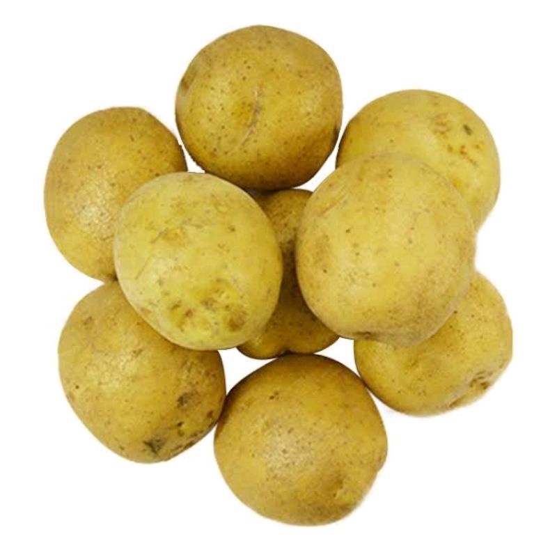 

KENTANG DIENG SUPER 500 gram