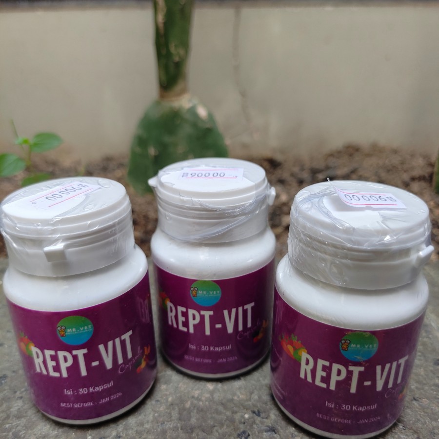 Rept vit capsule by Mr vet vitamin reptile torto