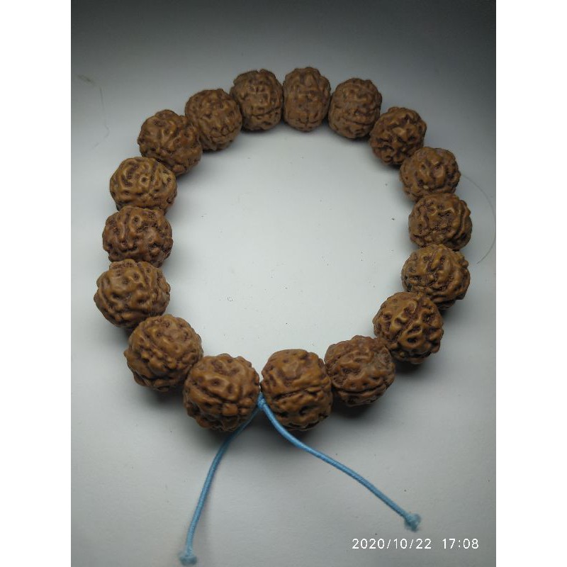gelang jenitri rudraksha mukhi 5
