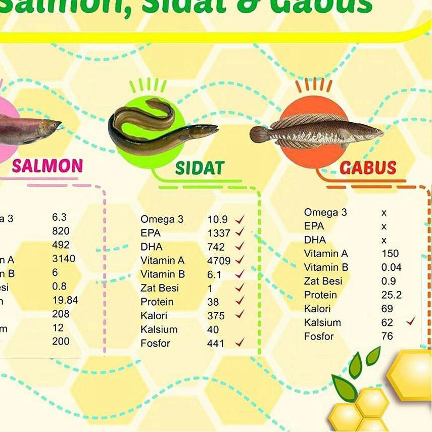 

BAYAR DITEMPAT✔️Gizidat Madu Ikan Sidat 130ml Penambah Nafsu Makan Anak Berat Badan|KD5