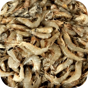 

Udang Kecil 500 g
