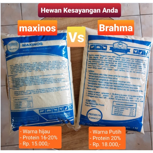 Maxinos dan Brahma Susu Pengganti Hewan Ternak Sapi Kambing Domba Cempe Pedet dll