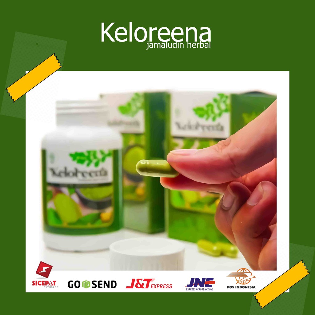 Inilah Manfaat Daun Kelor Untuk Melangsingkan Tubuh 