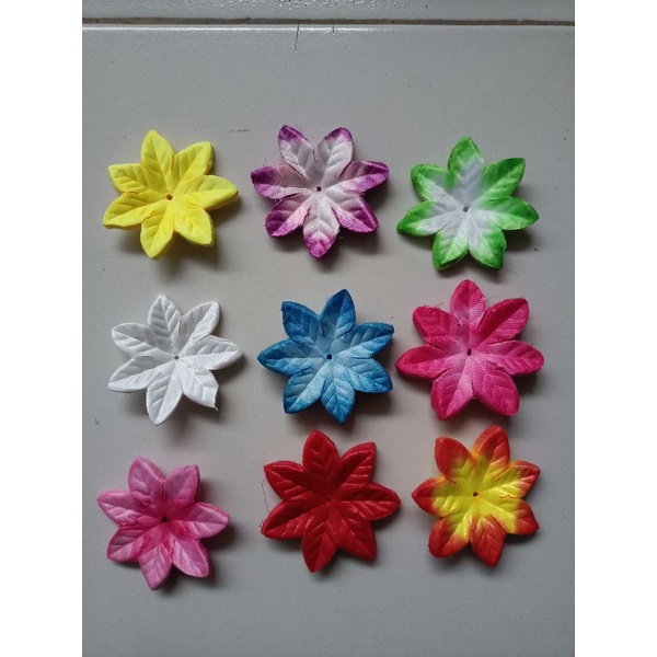 bunga petal bintang / bunga suyok bintang / bunga kiloan bintang