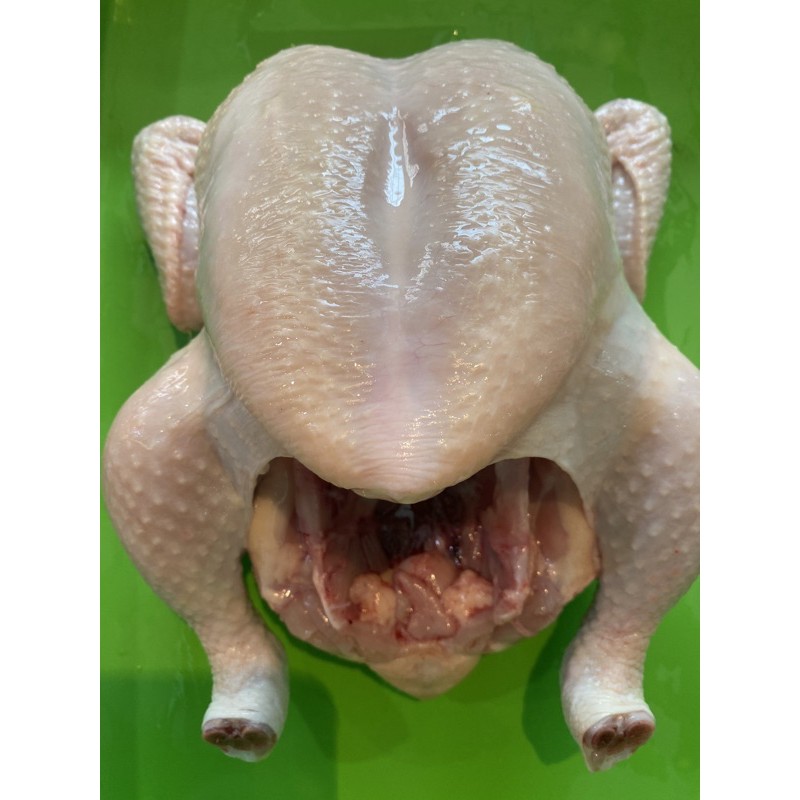 

Ayam Potong Broiler Segar 1,8kg