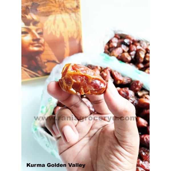 

Toko Kurma Terdekat Di Tangerang Jual Kurma Merk Golden Valley
