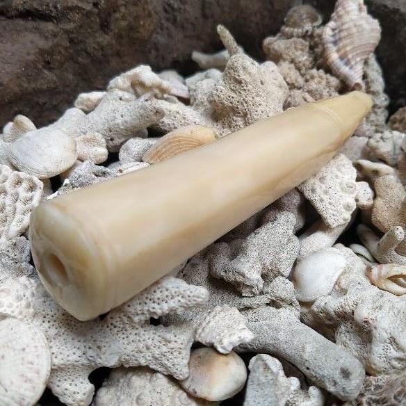 Pipa cangklong jumbo tulang sapi mirip gg