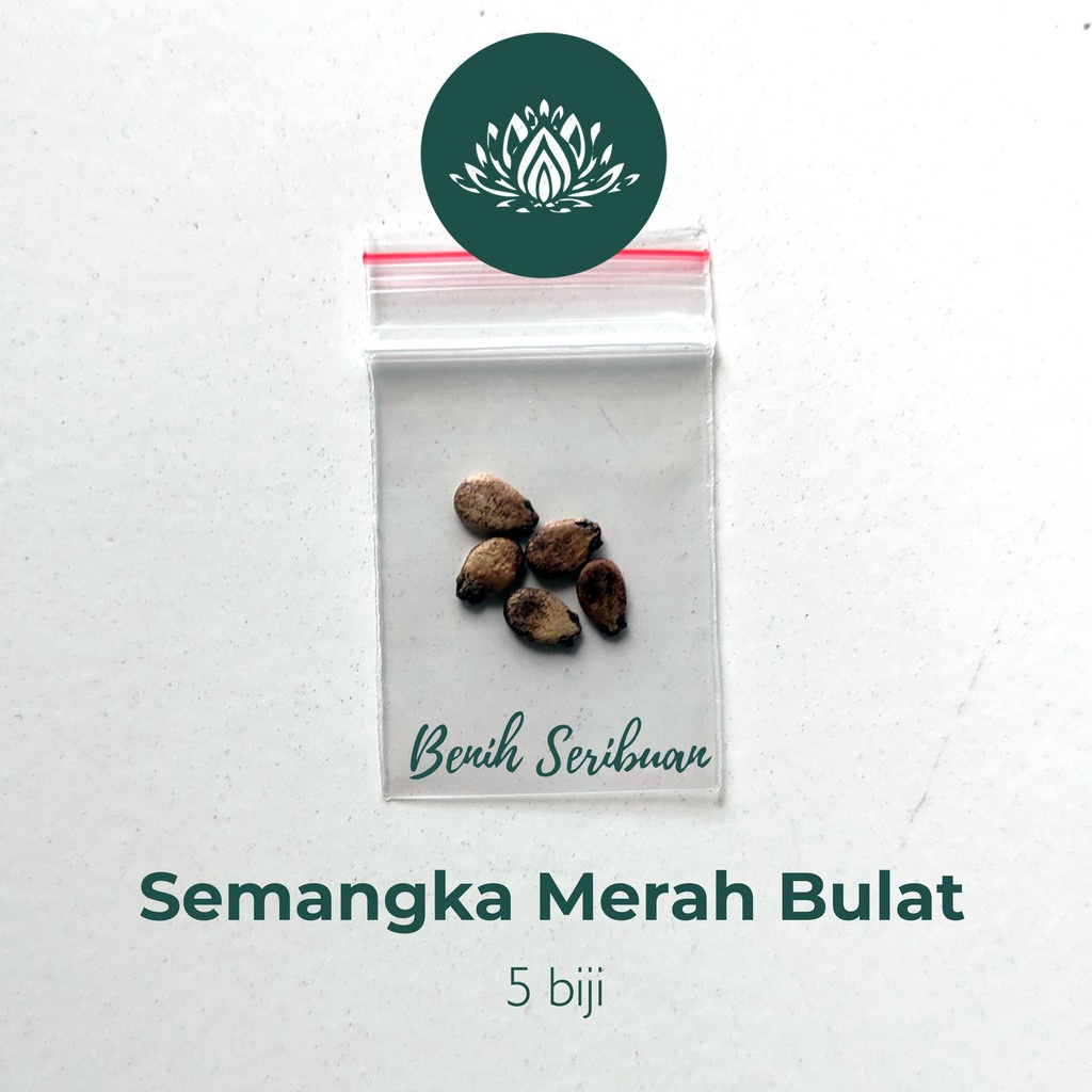 5 Benih Bibit Semangka Merah Jumbo Bulat F1 Made Buah Manis Gede Buah Unggul Bintang Asia Tanaman Super