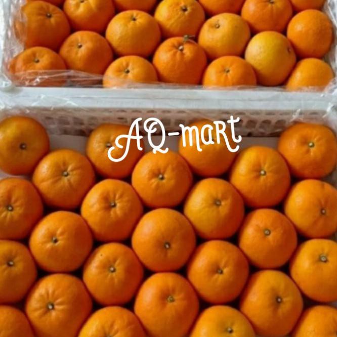 

Murah Buah Jeruk Mandarin Murcot Wokam 1Krat