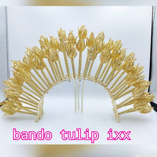 Bando tulip