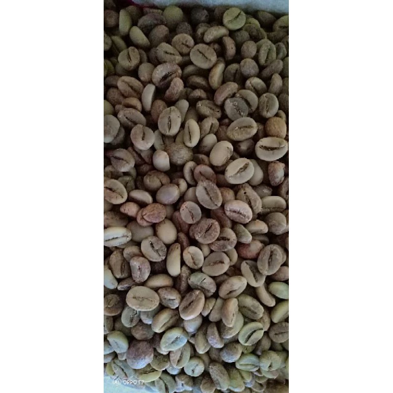 

Biji kopi Robusta (Greenbean)
