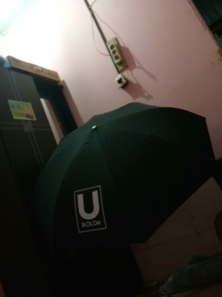 Bolde Ubrello Inverter Graphic Umbrella Payung Premium Terbalik Warna