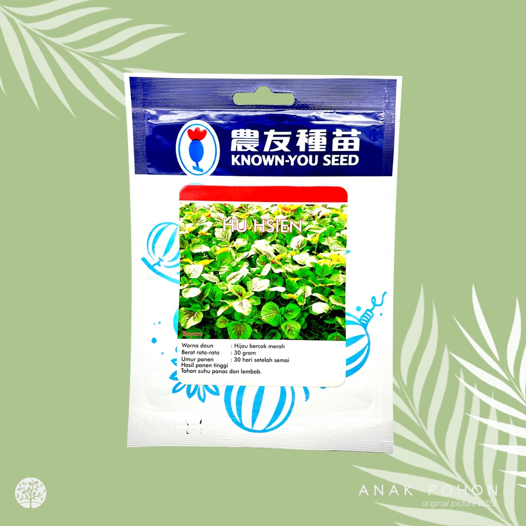 (1 PACK) Benih Bayam Belang Batik HU HSIEN Tiger Spinach Seeds - Known You Seed KYS - 10 GRAM