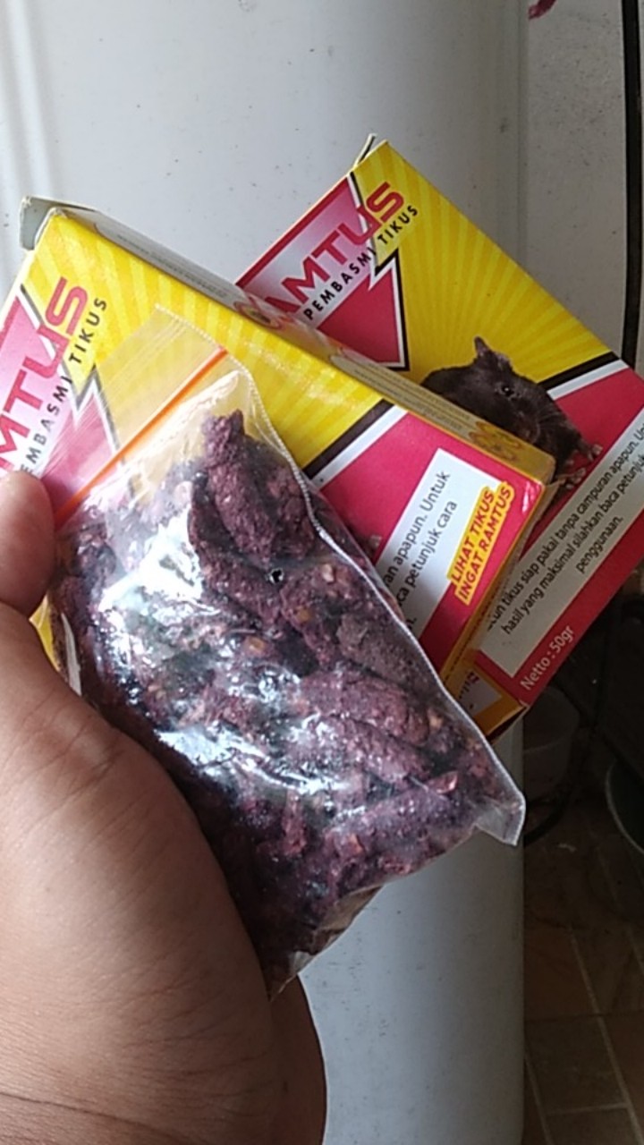 Ramtus Racun Tikus Ampuh Mati Kering Tidak Bau Pembasmi Curut Wirog Mencit Dirumah Di Mobil 5 Pack