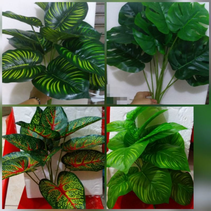 Daun monstera  latex 50cm 12 daun