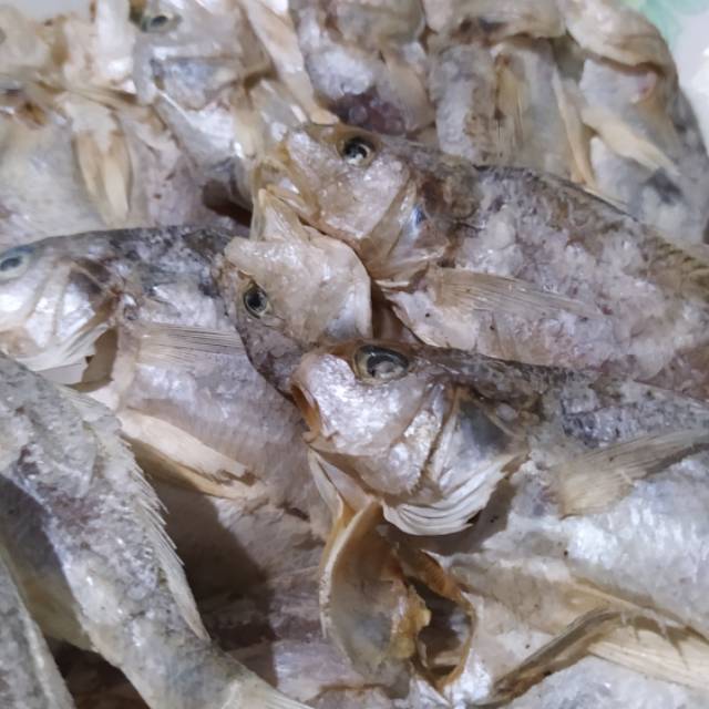 

Ikan Asin Kepala Batu / Ikan Asin Samge / Ikan Asin Gulama