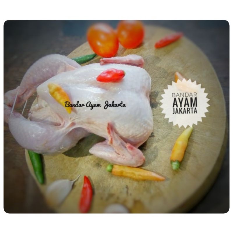 

Ayam Potong Frozen Uk 11 kg /1,1 kg /1.100 gram/Ayam Karkas/Ayam Broiler/Ayam Fresh/Ayam Utuh