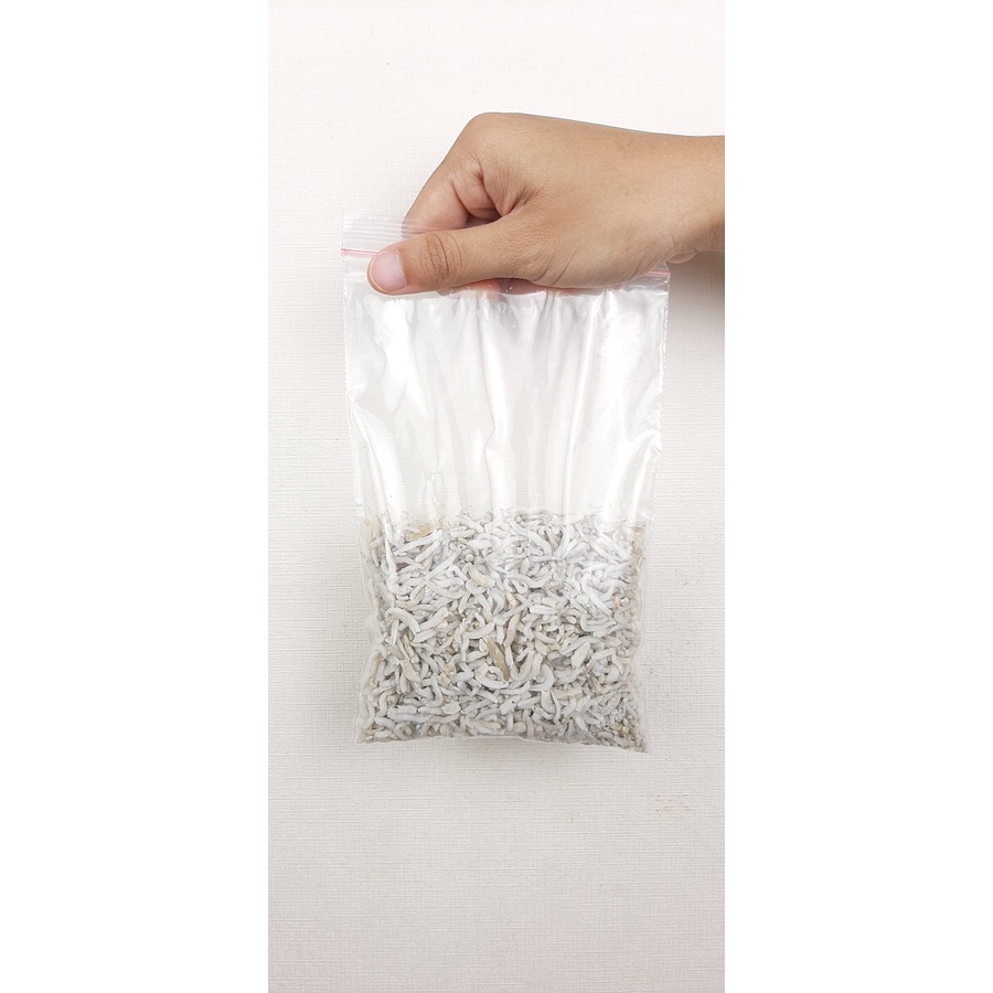 

Teri Nasi Medan Putih Premium / Export Grade @100 Gr