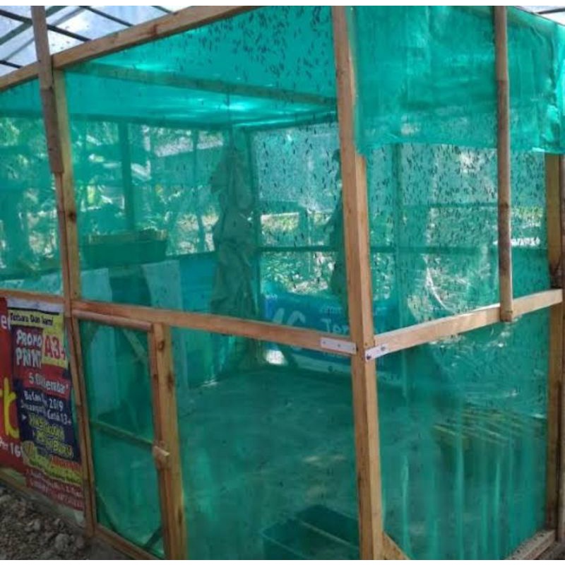 7bece111a94c2d455b687377a28425ce Budidaya Lalat BSF, Saya Memulai dengan Tetaskan Telurnya