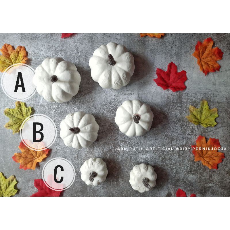 LABU PUTIH ARTIFICIAL